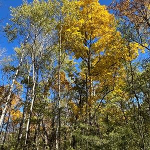 Meet your Posher, Tina